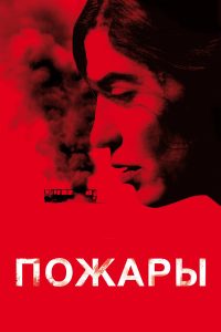 Пожары (2010)