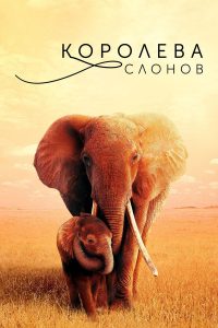 Королева слонов (2019)