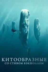 Китообразные со Стивом Бэкшоллом (2023)