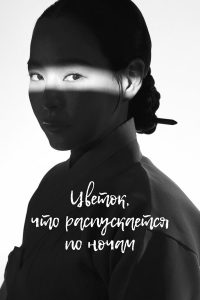 Ночной цветок (2024)