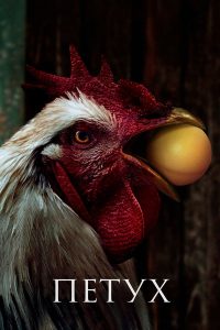 Петух (2024)