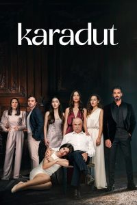 Черная шелковица (2024)