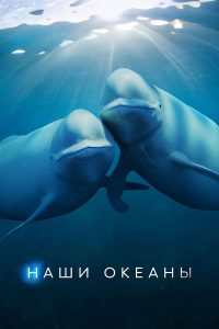 Наши океаны (2024)
