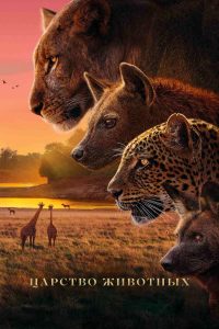 Королевство (2025)