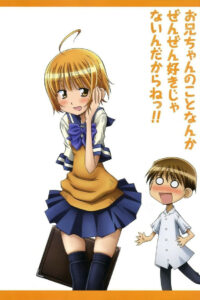 Я вовсе не люблю своего старшего брата! (2011)