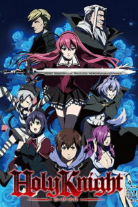 Святой рыцарь (2012)