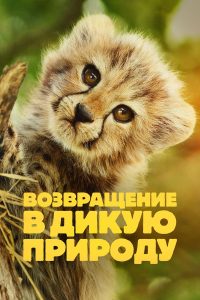 Возвращение в дикую природу (2025)