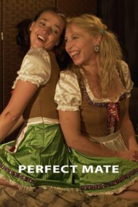 Идеальная пара (2018)