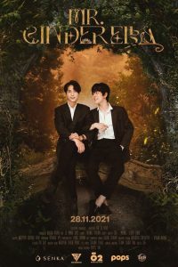 Мистер Золушка (2021)