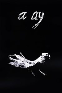 A Ay (1988)