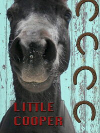 Маленький Купер (2020)
