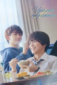 Идеальное предложение (2024)