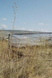 То, что осталось (2020)