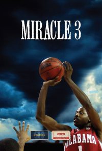 Miracle 3 (2013)