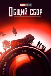 Marvel Studios: Общий сбор (2021)