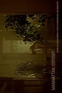 Манхэттенская одиссея (2020)