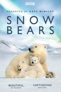 Snow Bears (2017)