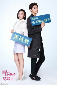 Так я женился на антифанатке (2016)