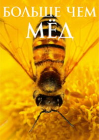 Больше, чем мёд (2012)