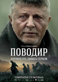 Поводырь (2014)