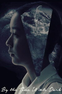 Когда стемнеет (2016)