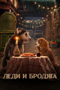 Леди и Бродяга (2019)