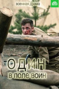 Один в поле воин (2018)