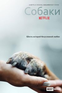 Собаки (2018)
