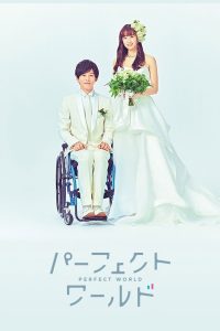 Идеальный мир (2019)