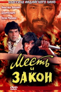 Месть и закон (1975)