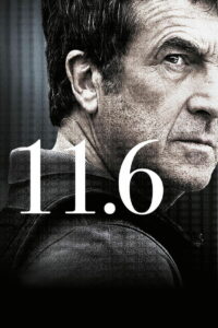 11.6 (2013)