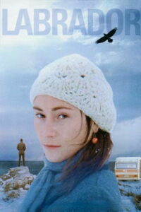 Лабрадор (2011)