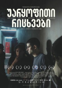 Отрицательные числа (2019)