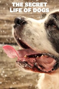 Тайная жизнь собак (2017)