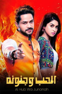 Такая сумасшедшая любовь (2017)