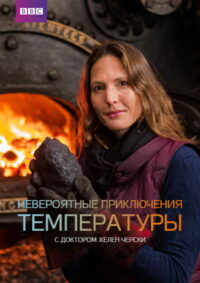 Невероятные приключения температуры (2018)