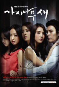 Поющие в терновнике (2011)