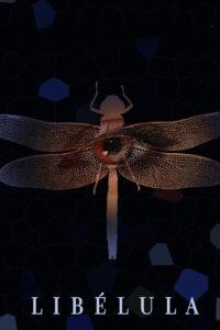 Стрекоза (2021)