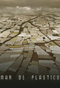 Пластиковое море (2015)
