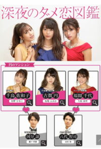 Путеводитель по плохим любовным историям (2018)